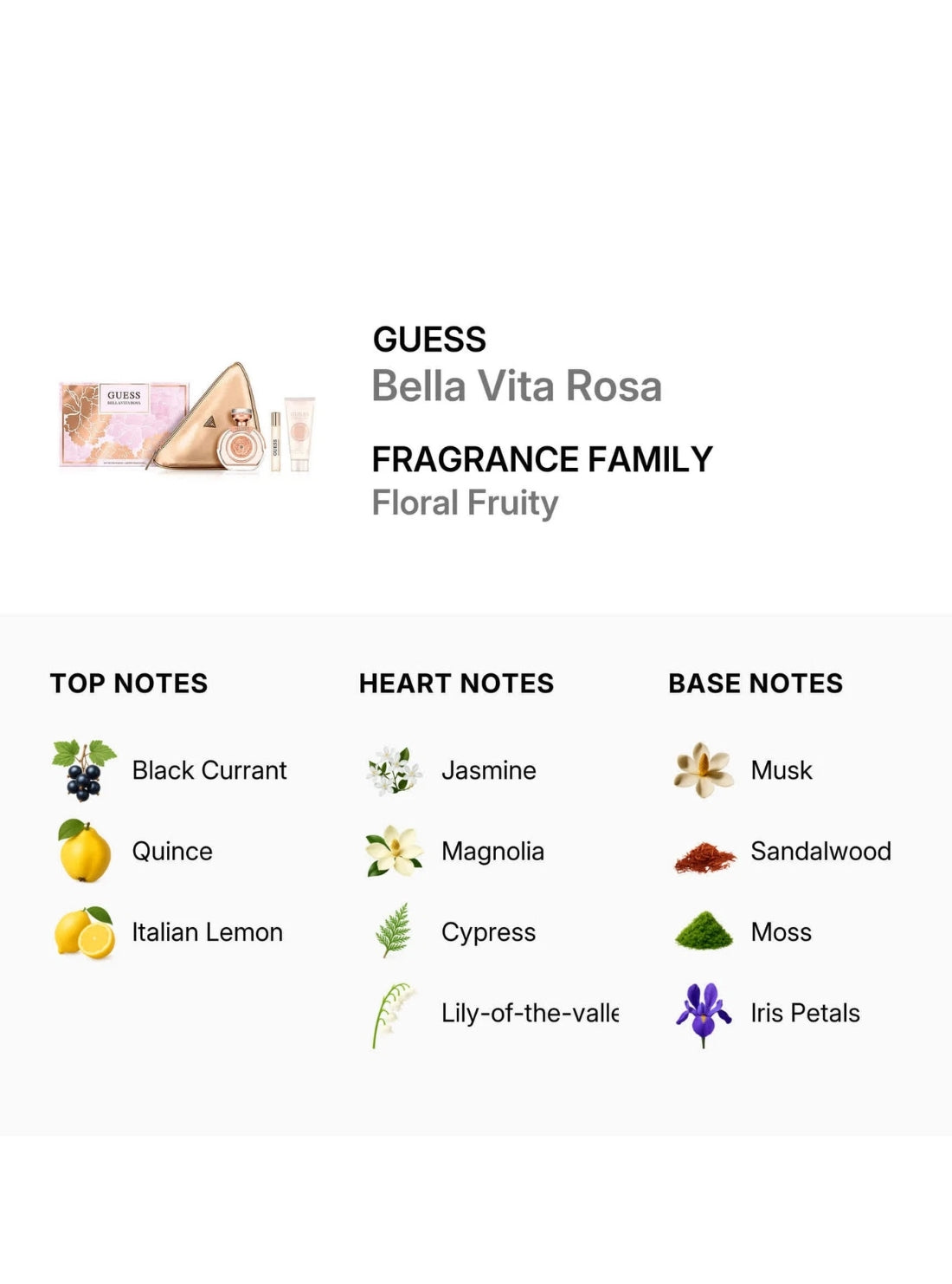 GUESS Fragrance Bella Vita Rosa Fragrance Gift Set GSF34975 Detail View
