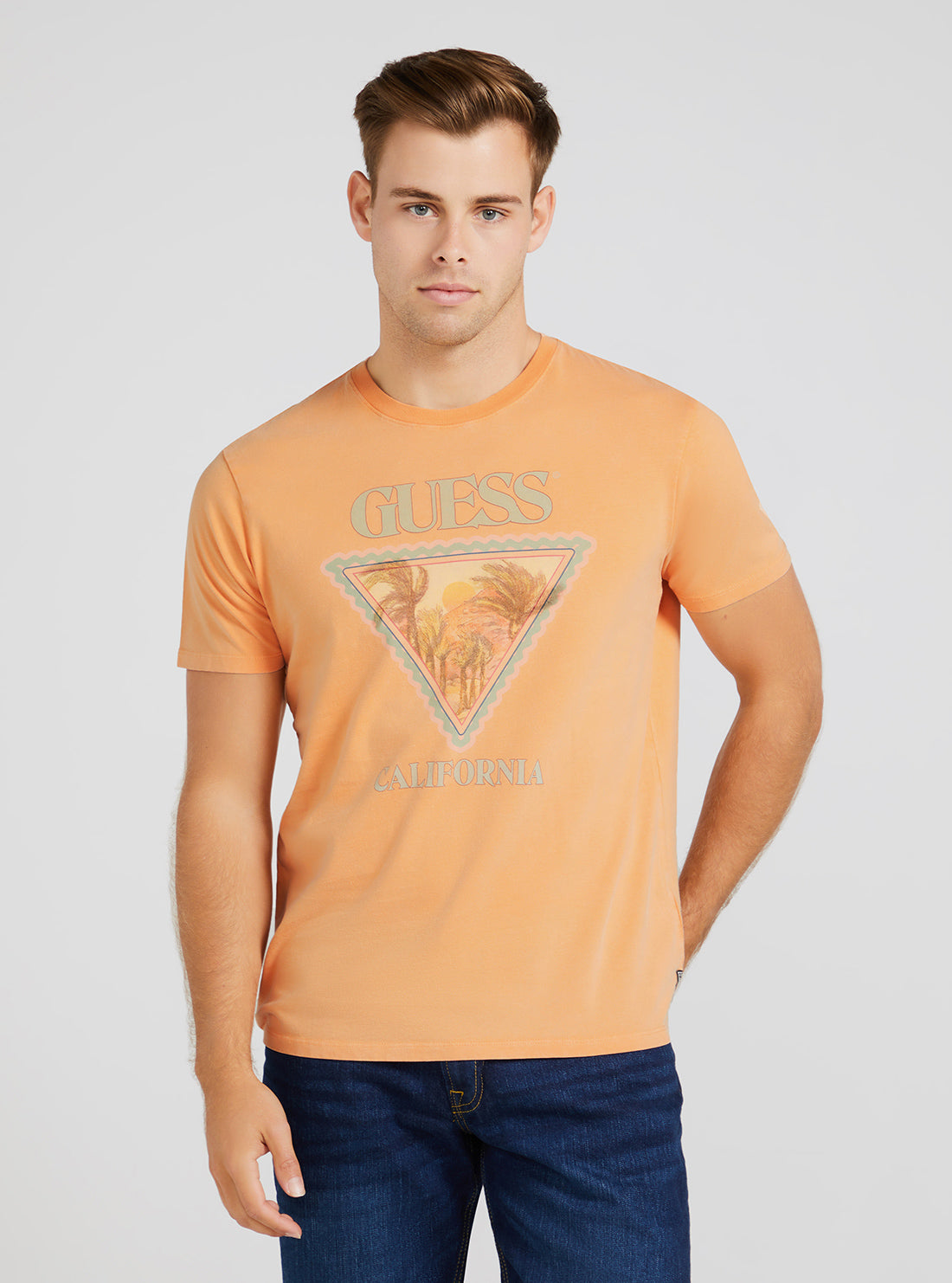 GUESS Men's Eco Peach Multi Desert Triangle Logo T-Shirt M3YI65KBDL0 Front View