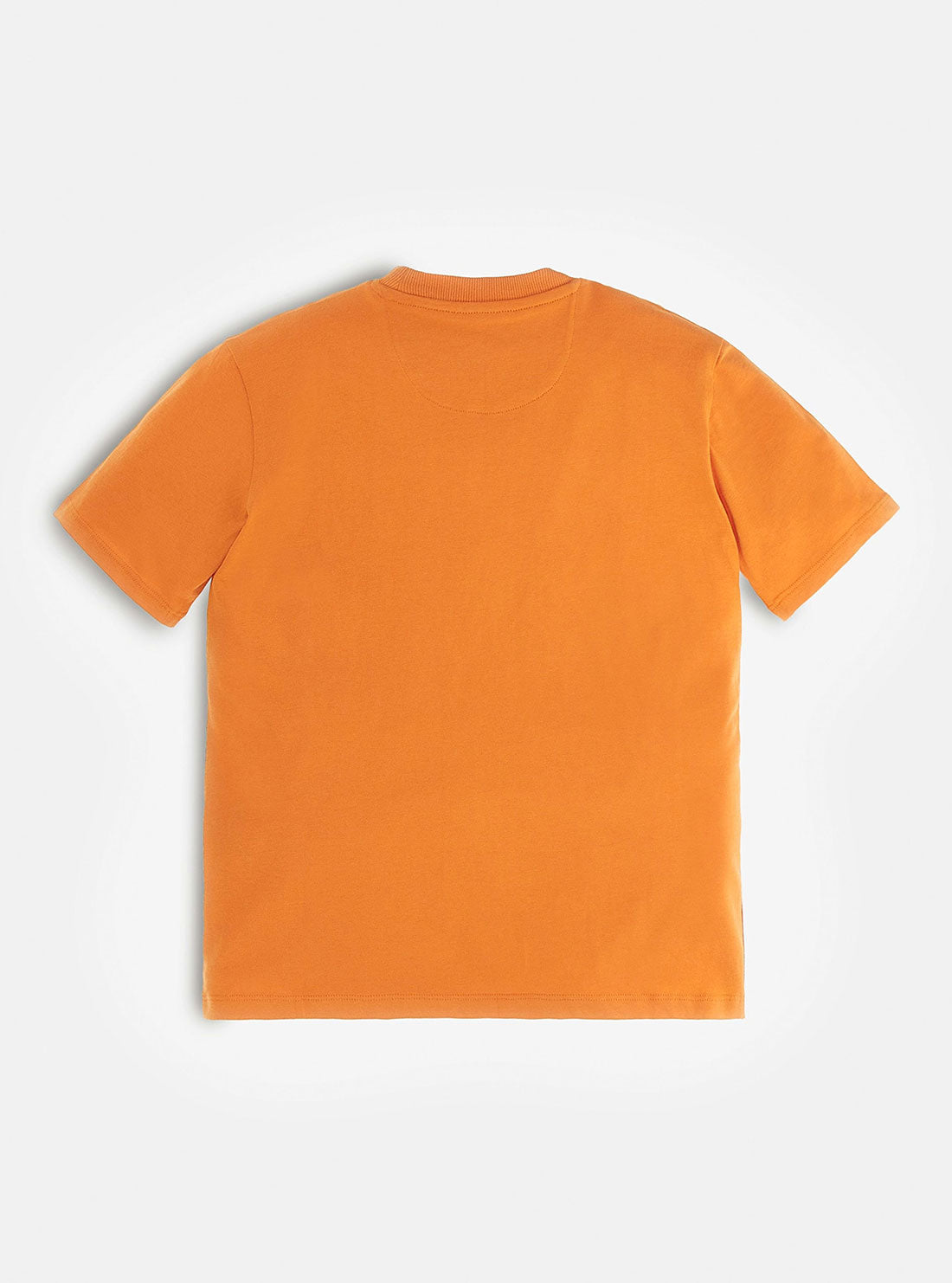 Boy's Orange Triangle Logo T-Shirt back view