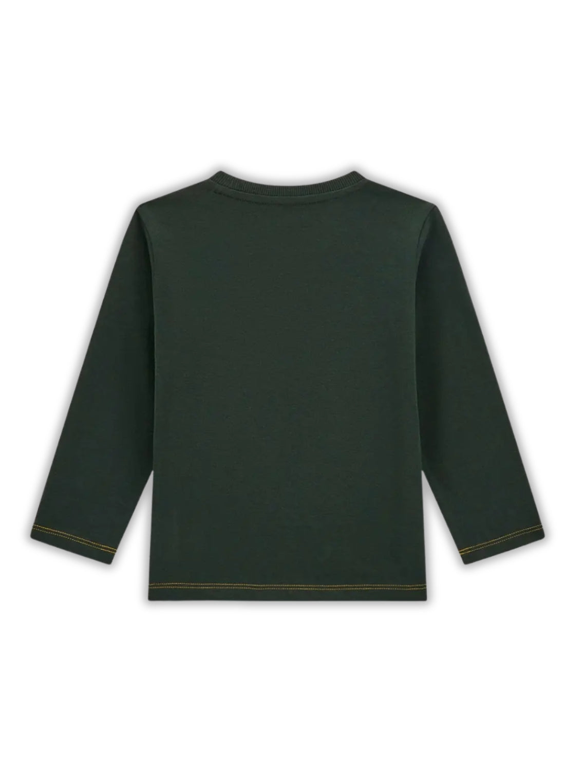 GUESS Kids Green Long Sleeve T-Shirt (2-7) N5BI11I3Z14 Back View