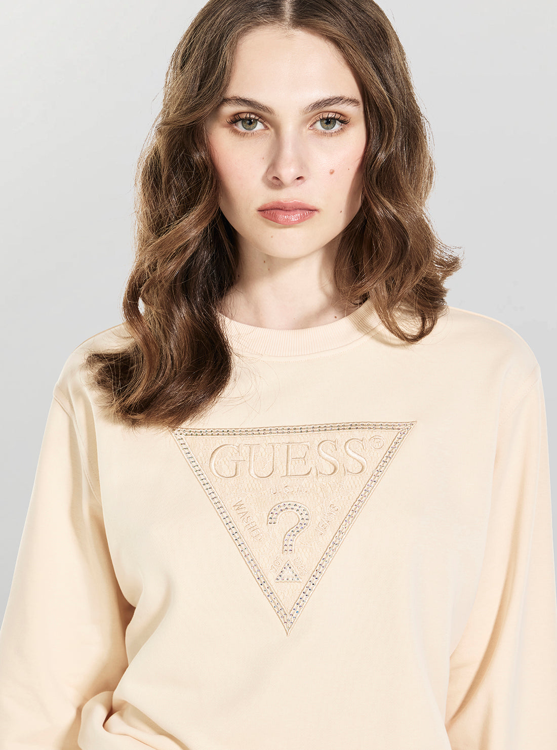 GUESSEco Vanilla Triangle Lace Sweatshirt W6GQ09K3183G Detail View