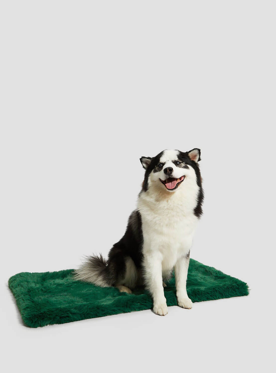 Green Faux-Fur Luxury Pet Rug