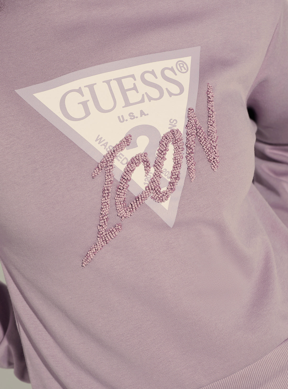 Vanda Orchid Icon Logo Jumper